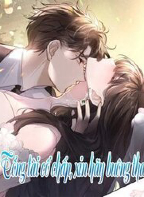 Tổng Tài Cố Chấp, Xin Hãy Buông Tha