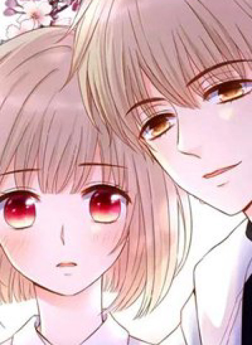 Đóa Hoa Chớm Nở