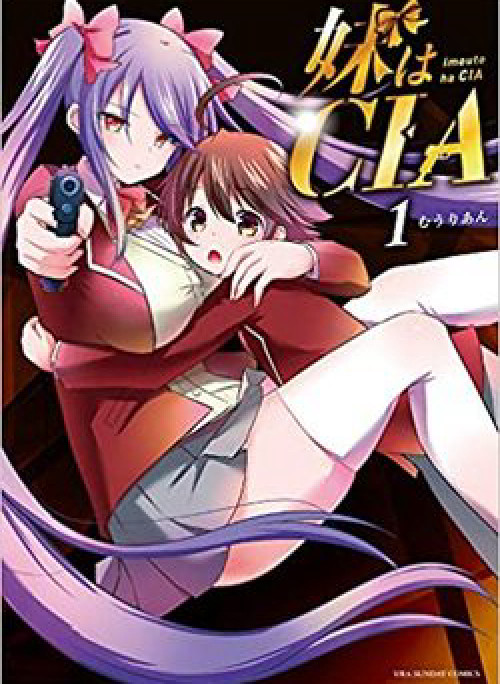 Em gái tôi là CIA