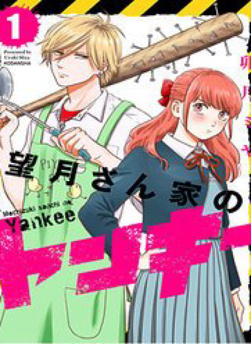 Mochizuki-Sanchi No Yankee