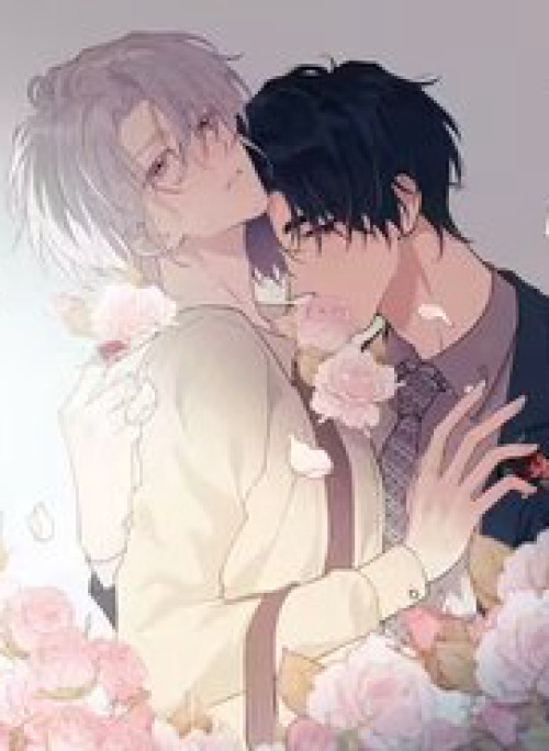 Pheromone Nồng Nàn