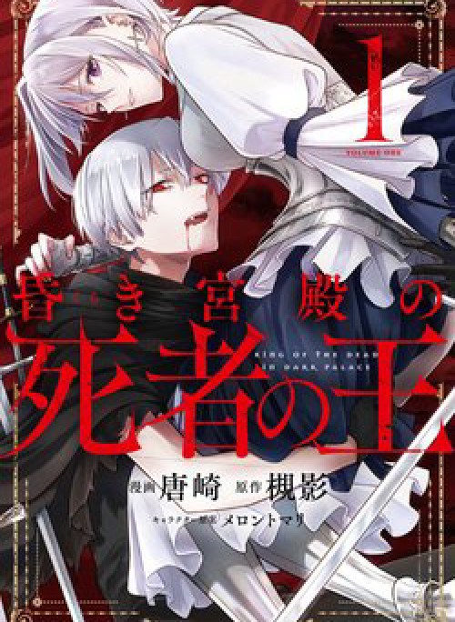 The undead lord of the palace of darkness