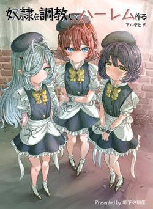 Training Slaves to make a Harem